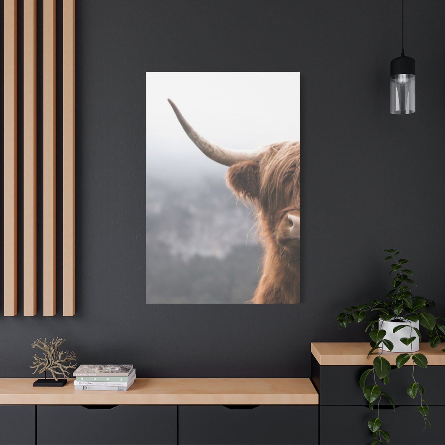 Longhorn Photos Wall Art & Canvas Prints