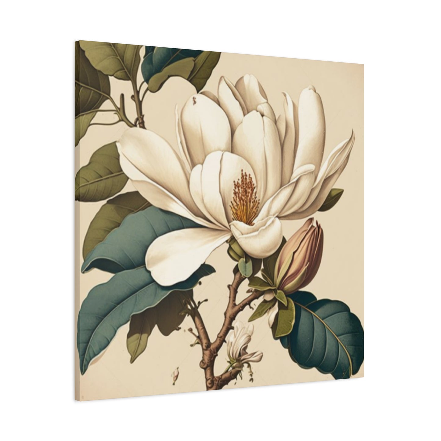 Beautiful Magnolia Flower Wall Art & Canvas Prints