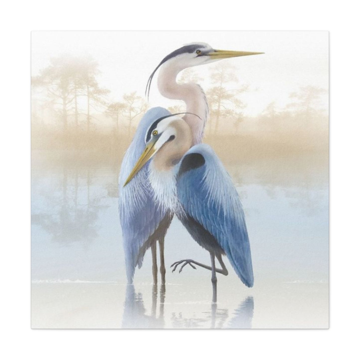 Beautiful Couple Herons Wall Art & Canvas Prints