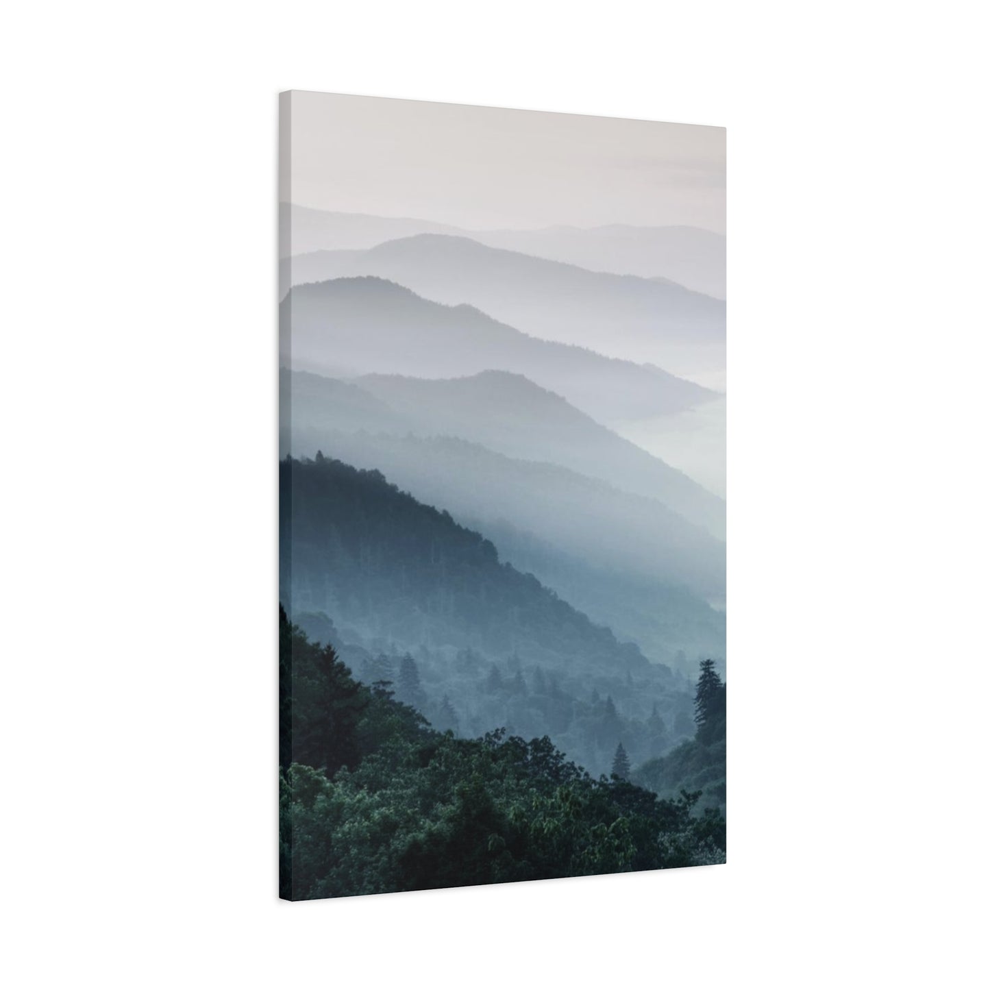 Tropical Forest View Wall Art & Canvas Prints