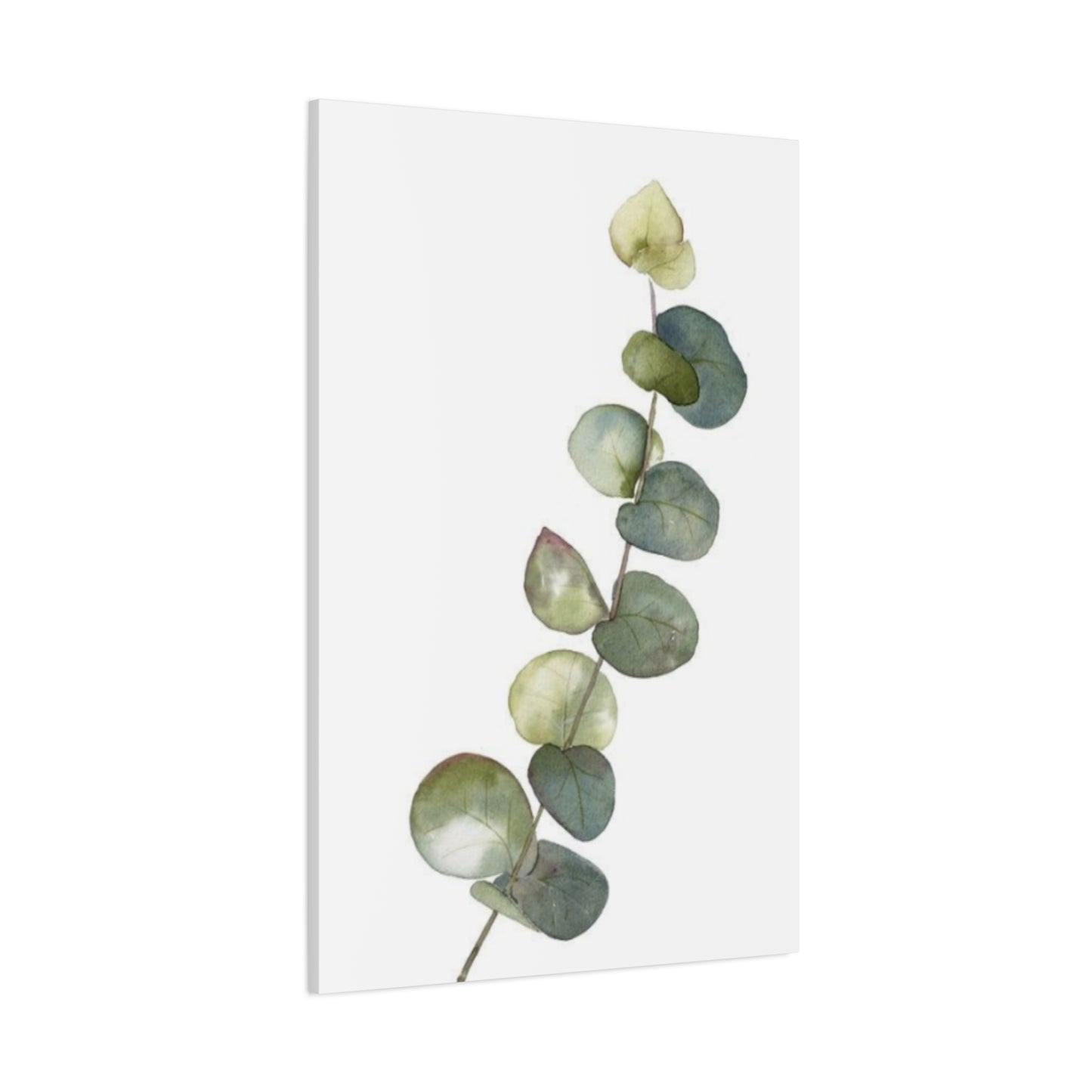 Eucalyptus Stem Wall Art & Canvas Prints