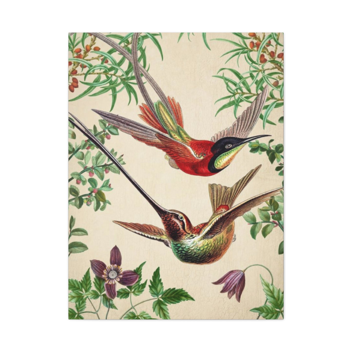 Humming Bird Couple Candid Painting Wall Art & Canvas Prints