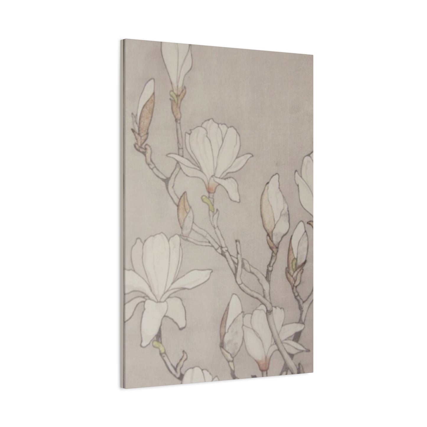 Beautiful Vintage Magnolia Flower Painting Wall Art & Canvas Prints