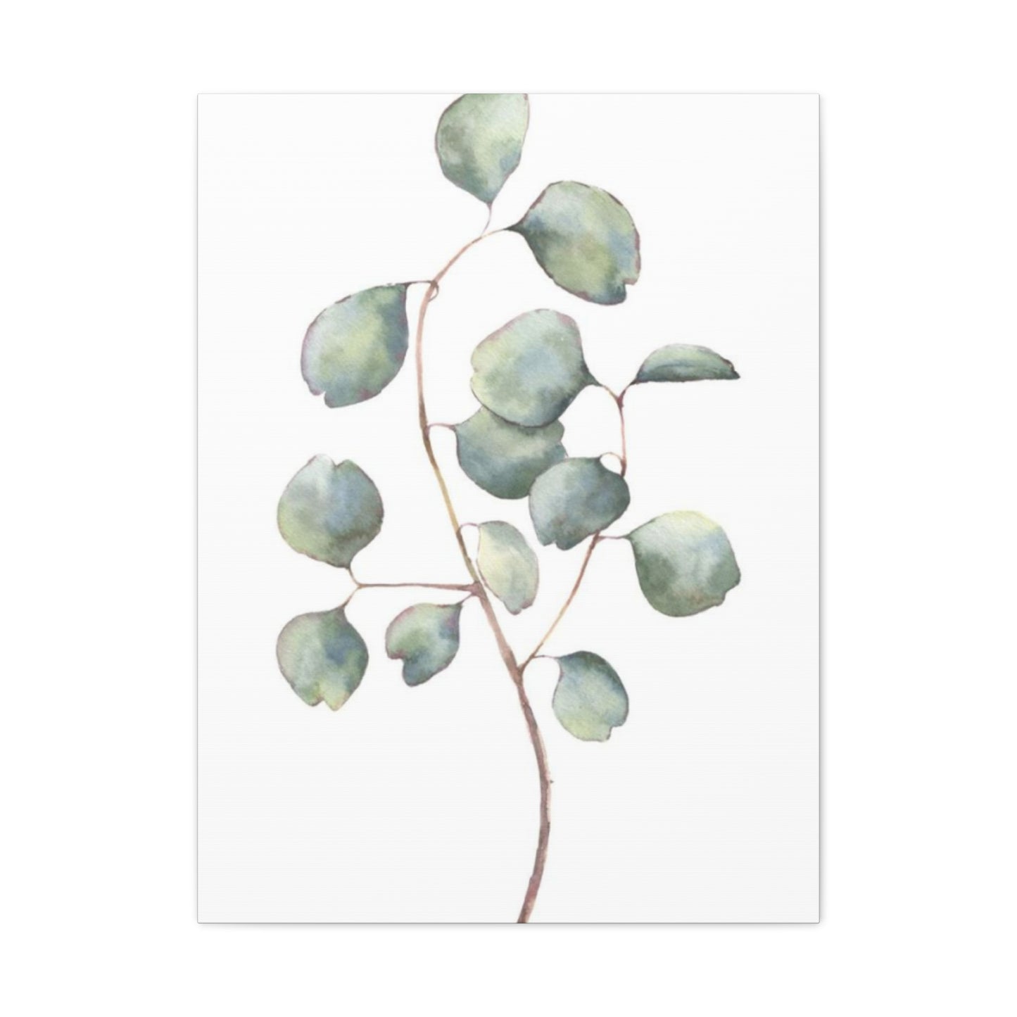 Eucalyptus Stem Wall Art & Canvas Prints