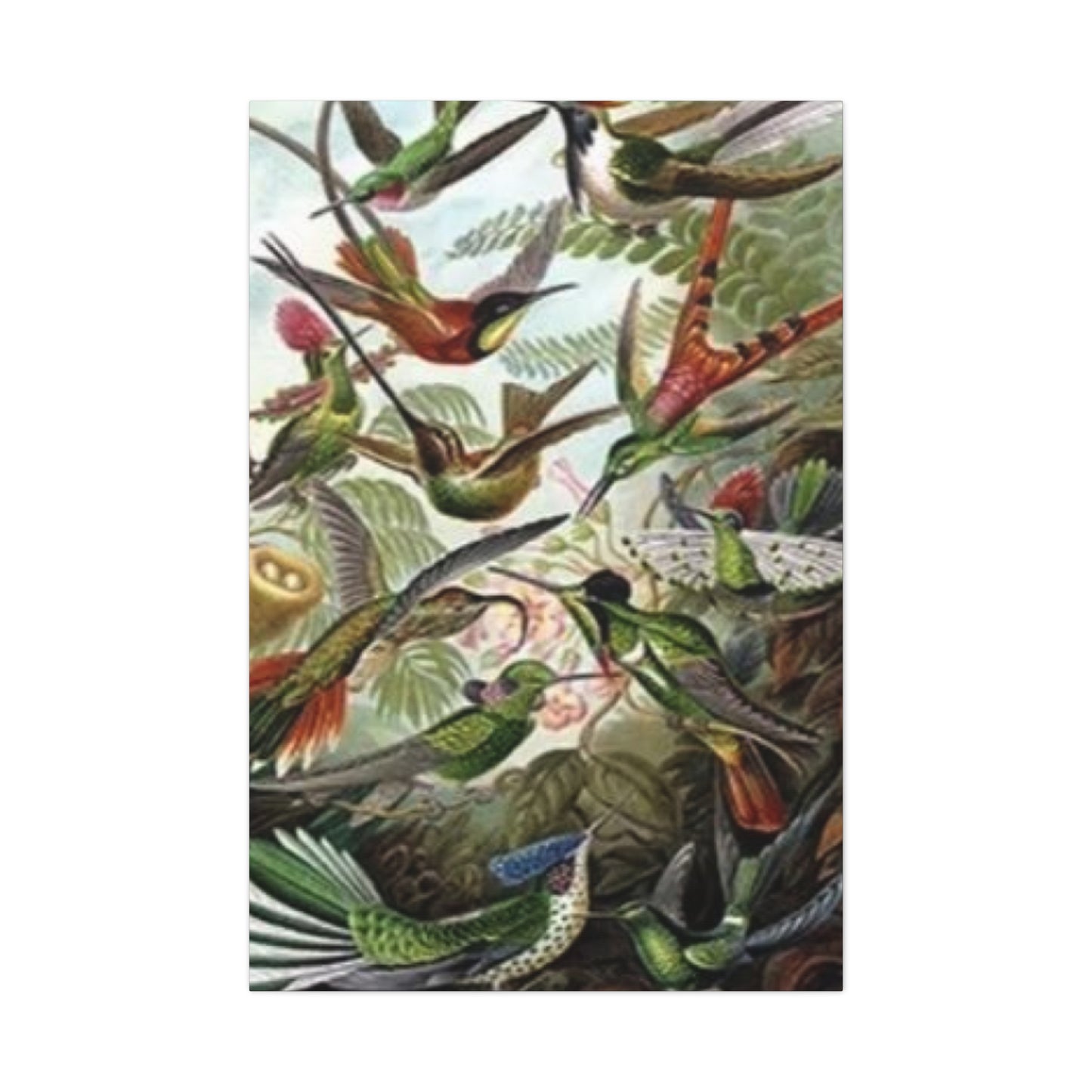 Humming Birds Painting Wall Art & Canvas Prints