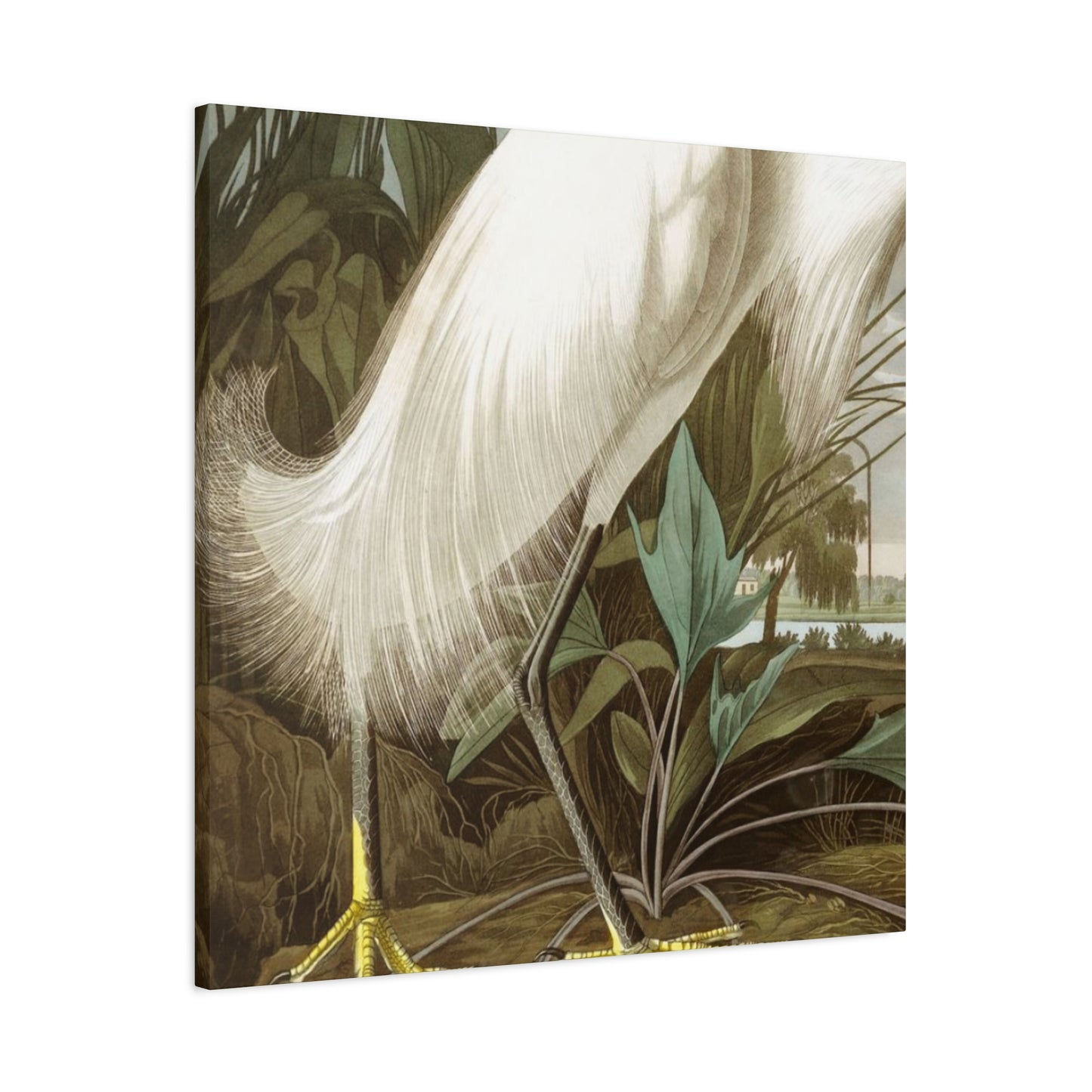 Golden Feet Herons Wall Art & Canvas Prints