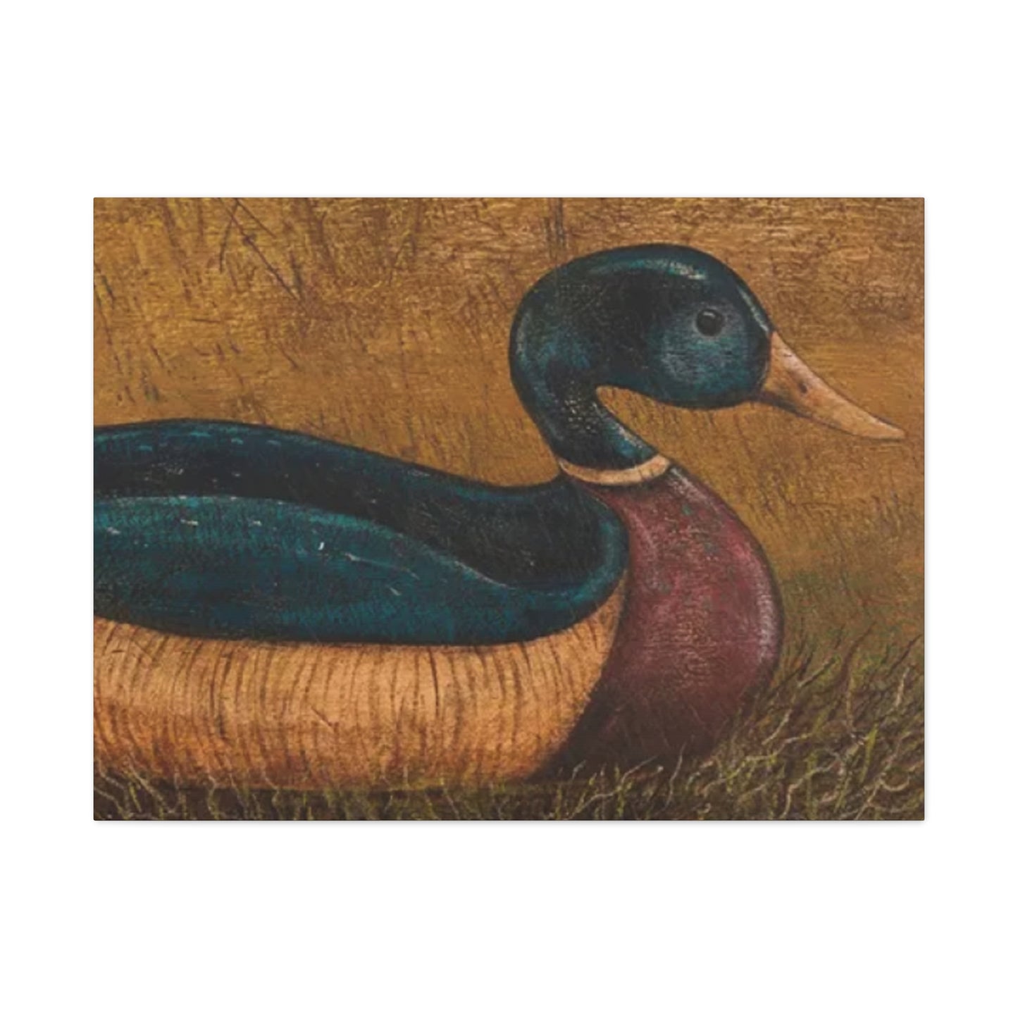 Duck Kimble Warren Wall Art & Canvas Prints