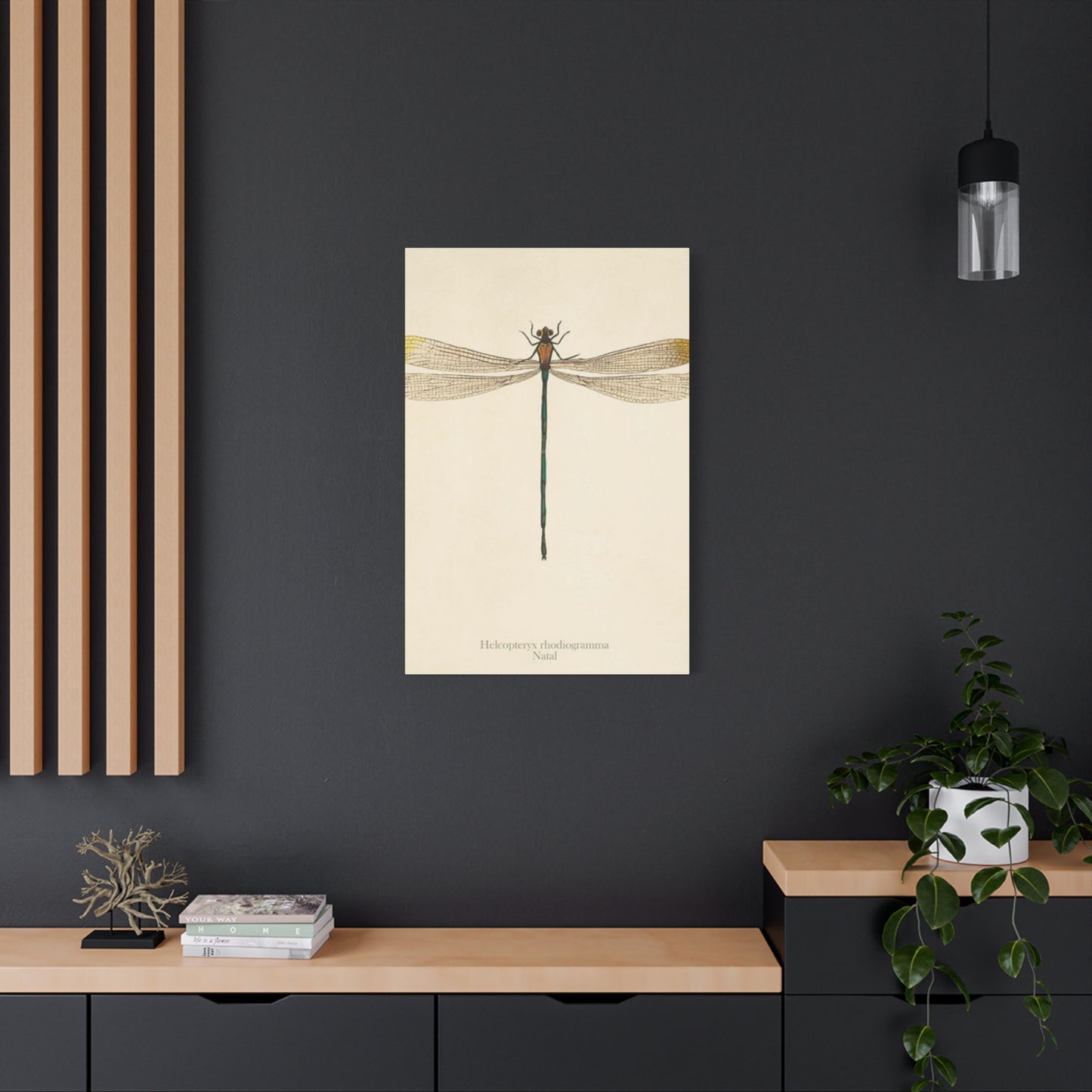 Long Tail Dragonfly Wall Art & Canvas Prints