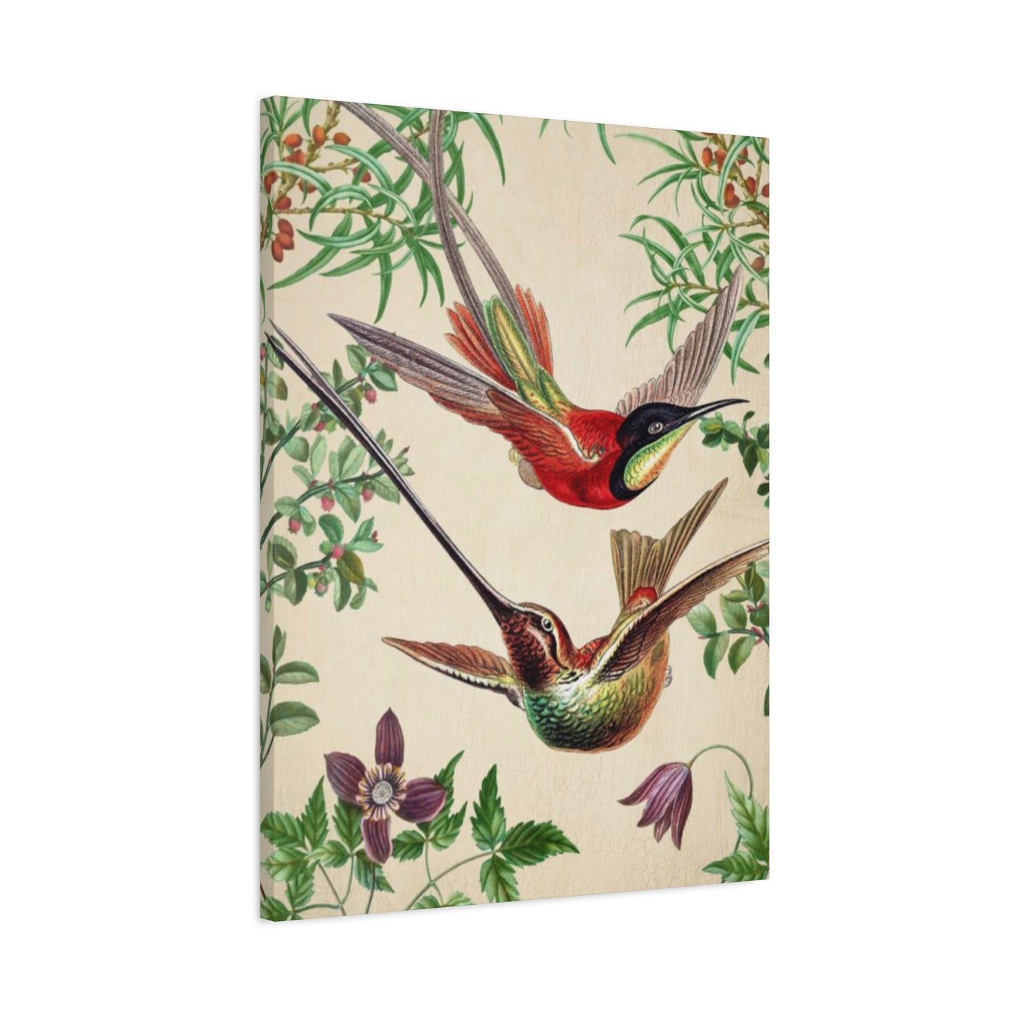 Humming Bird Couple Candid Painting Wall Art & Canvas Prints