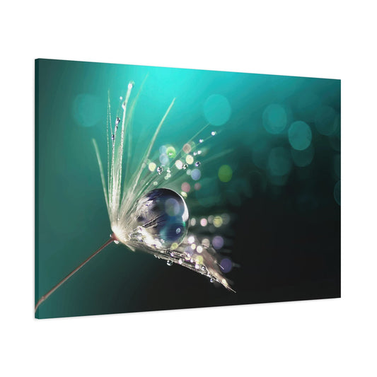 Water drops Wall Art & Canvas Prints