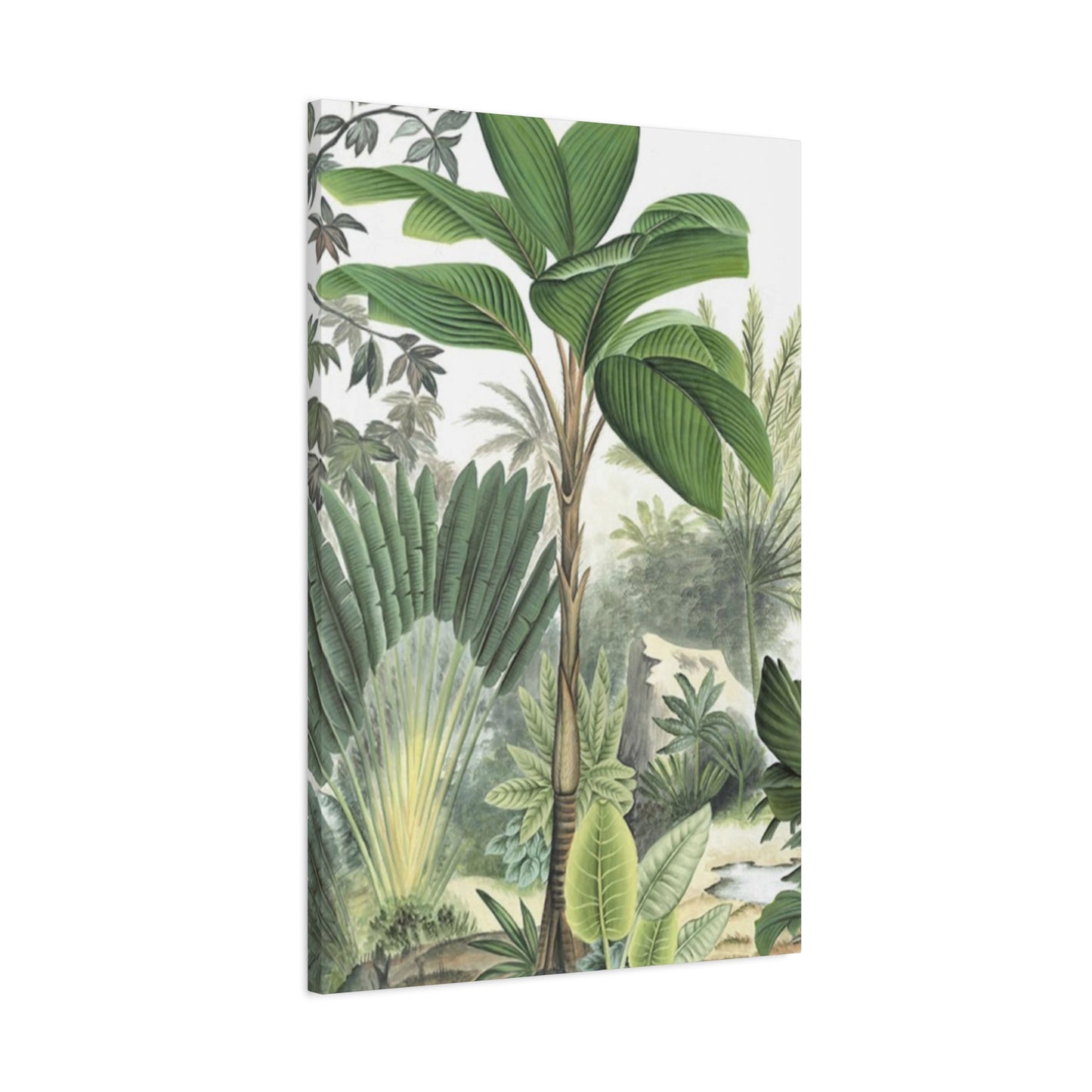 Palm Tree Green Leaves In Forest Wall Art & Canvas Prints