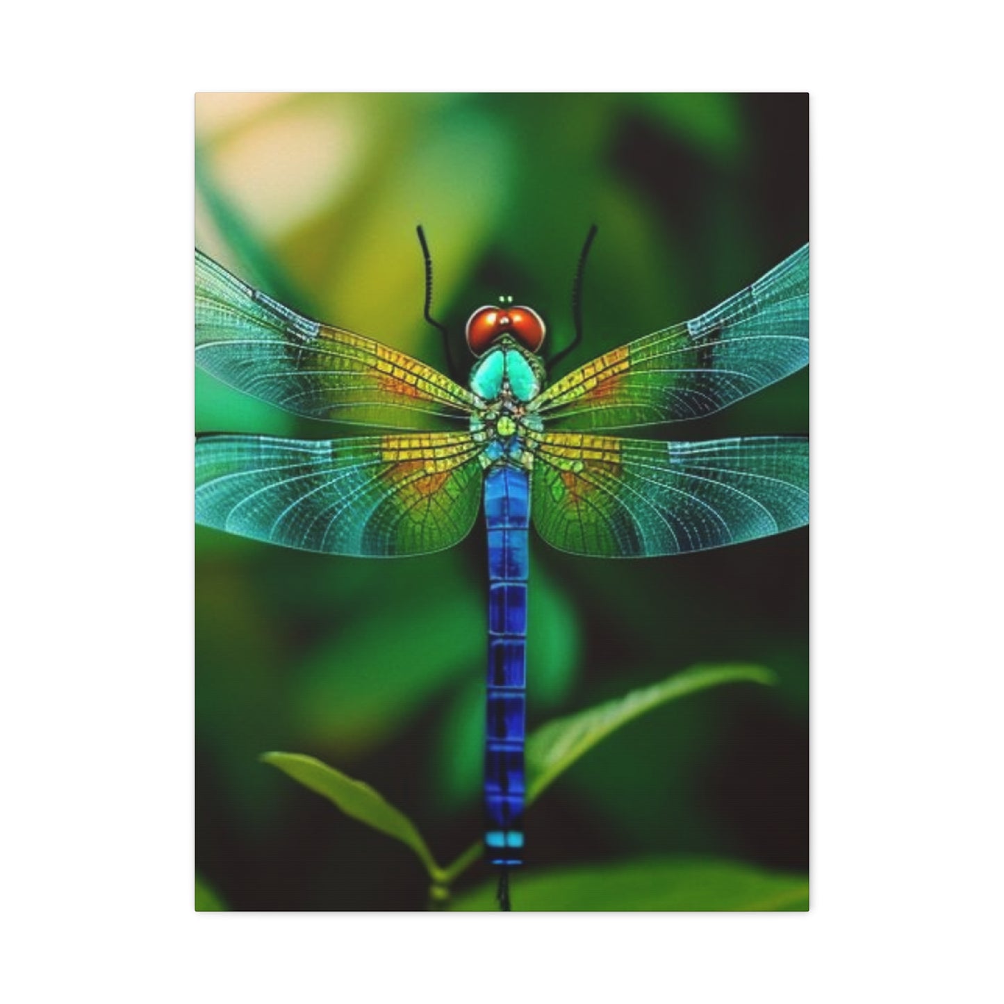 Dragonfly Top Closeup Wall Art & Canvas Prints