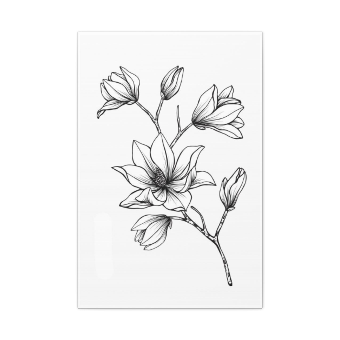 Magnolia Flower Sketch Wall Art & Canvas Prints