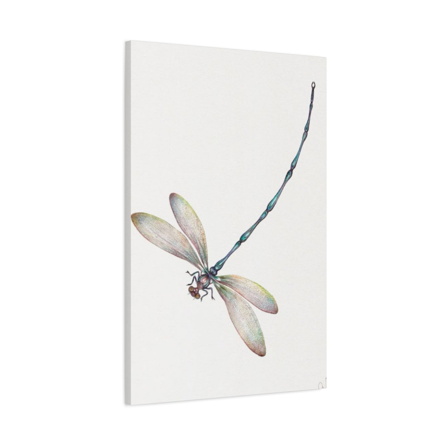 Long Blue Tail Dragonfly Wall Art & Canvas Prints