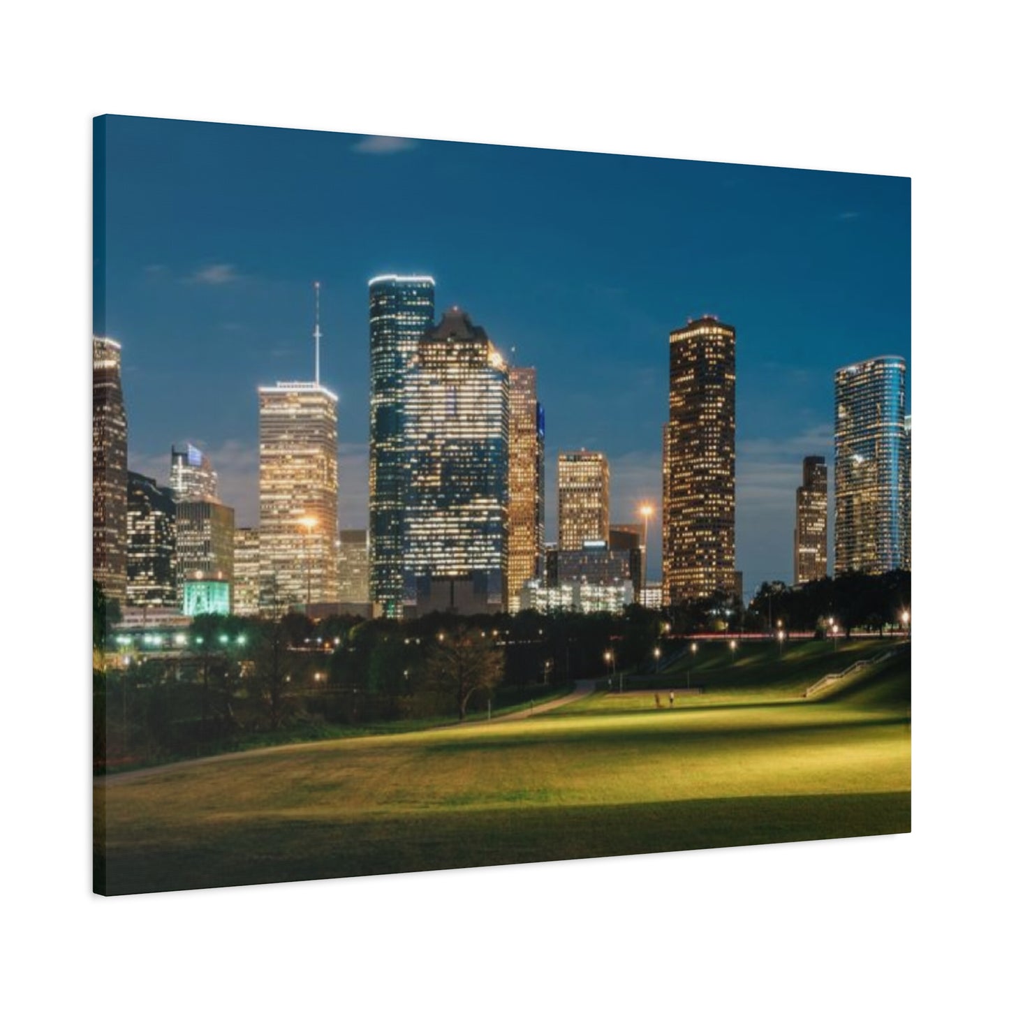 Night view of Houston Skyline Wall Art & Canvas Prints