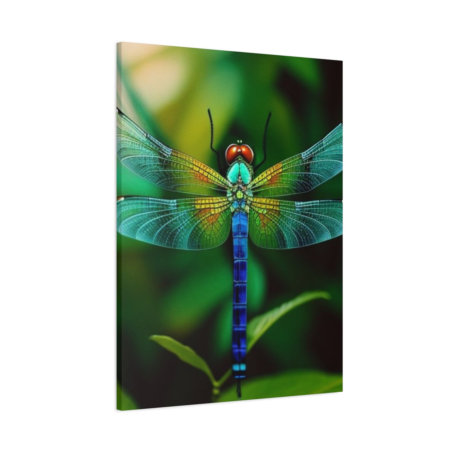 Dragonfly Top Closeup Wall Art & Canvas Prints