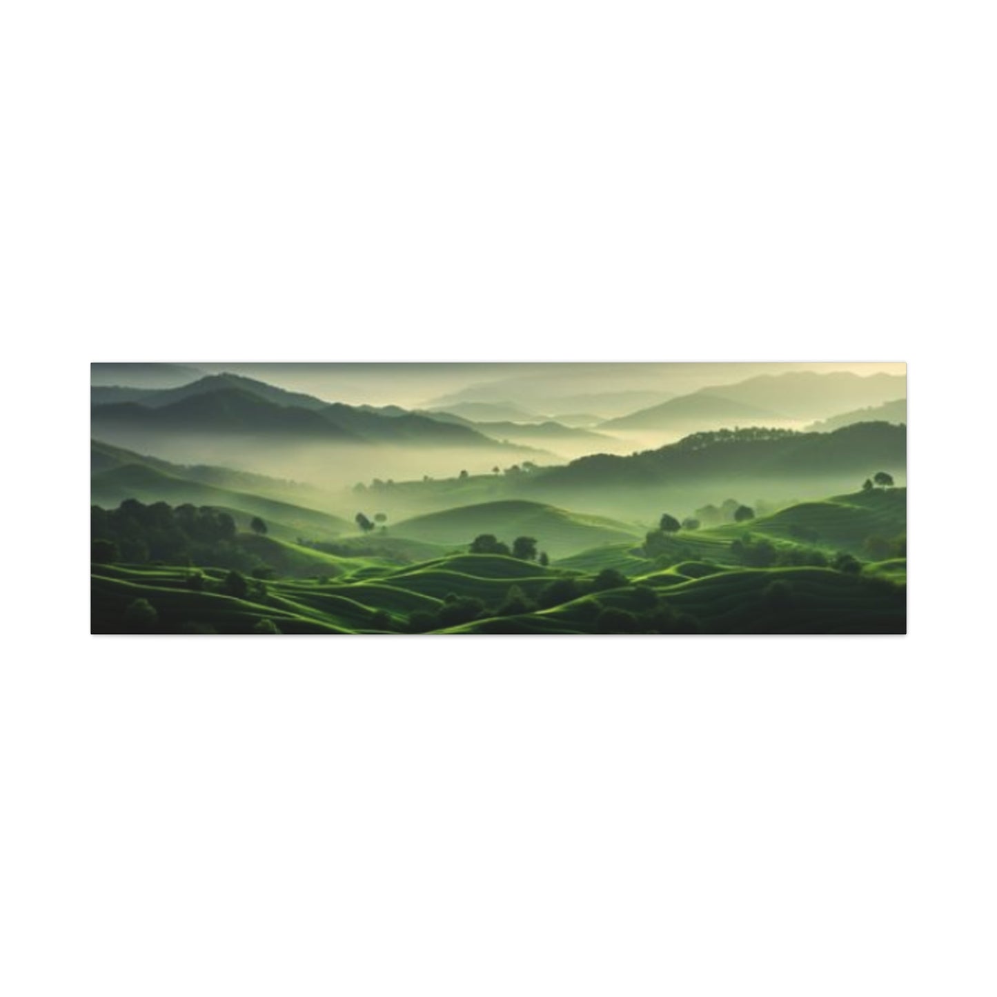 Morning Green Grasslands Panoramas Wall Art & Canvas Prints