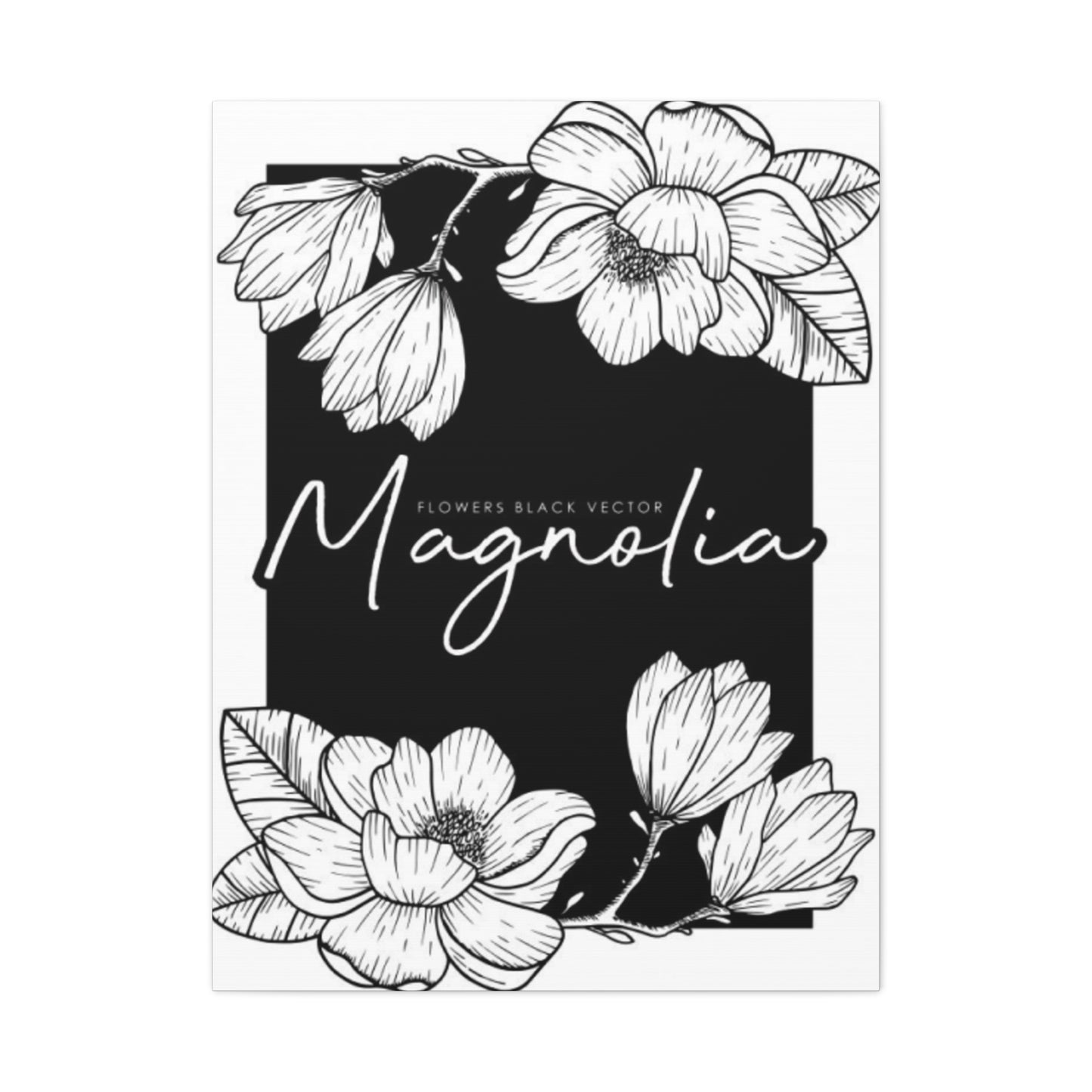 Magnolia Flower White Drawing Wall Art & Canvas Prints