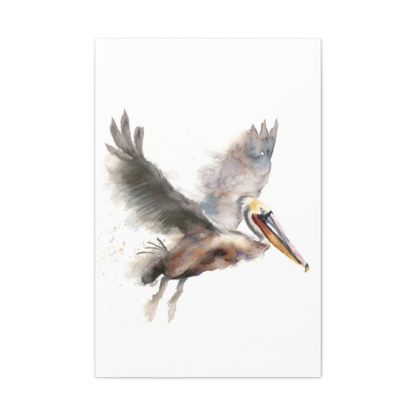 Flying Pelican Painting Wall Art & Canvas Prints