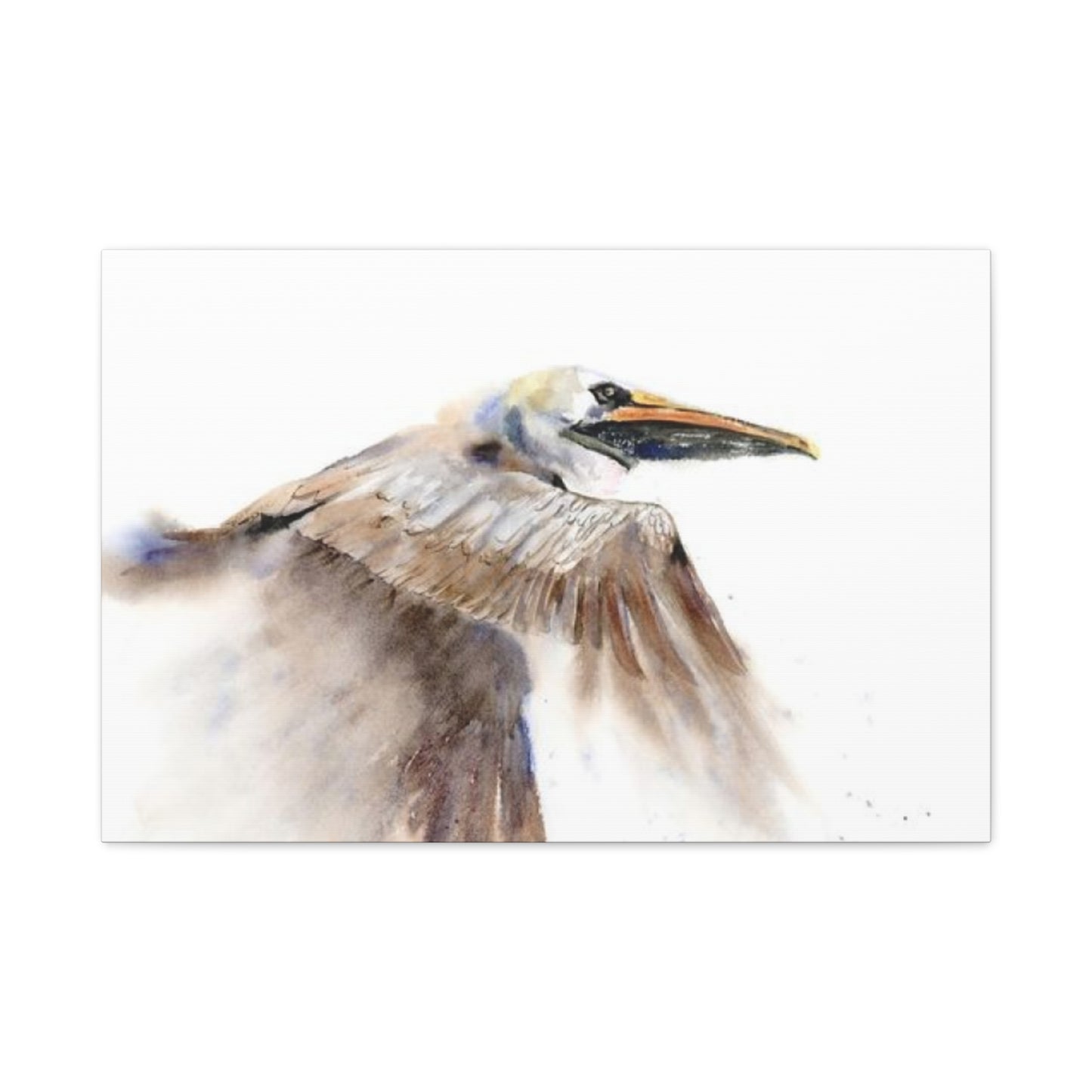 Long Beak Flying Pelican Wall Art & Canvas Prints