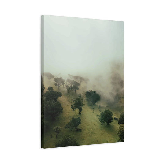 Misty Wall Art & Canvas Prints