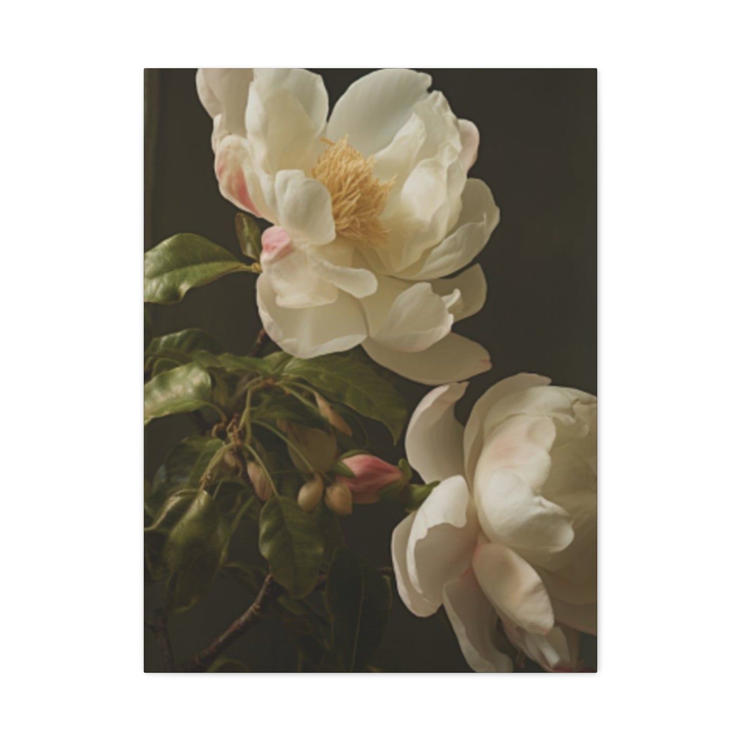 White on Black Background Magnolia Flower Wall Art & Canvas Prints