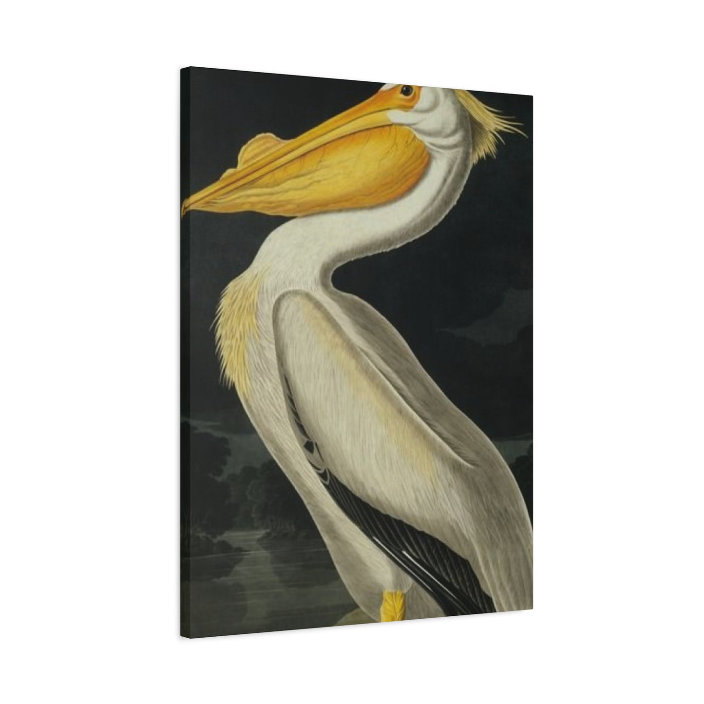 Fat Beak Pelican Painting Wall Art & Canvas Prints