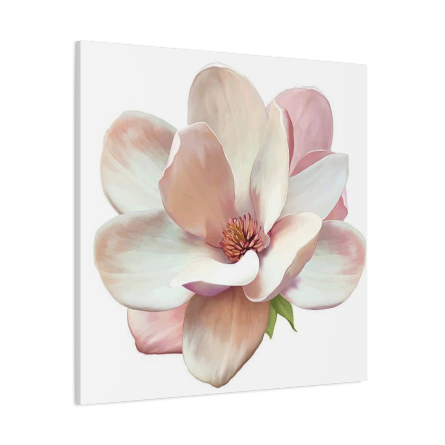 Pink Magnolia Flower Wall Art & Canvas Prints