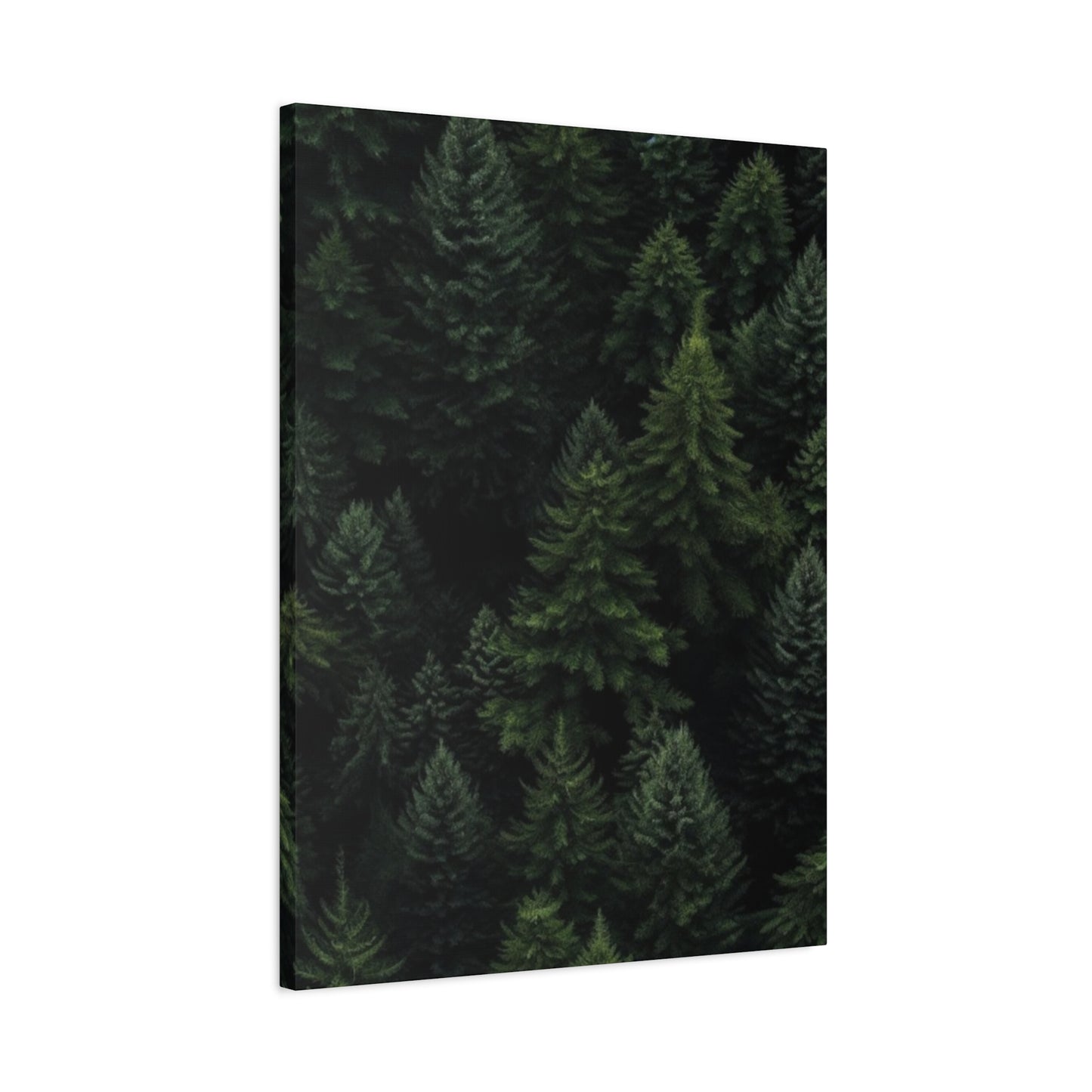 Tropical Pine Forest Wall Art & Canvas Prints