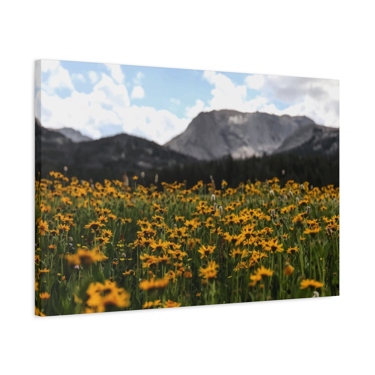 Sunflower Garden Wall Art & Canvas Prints