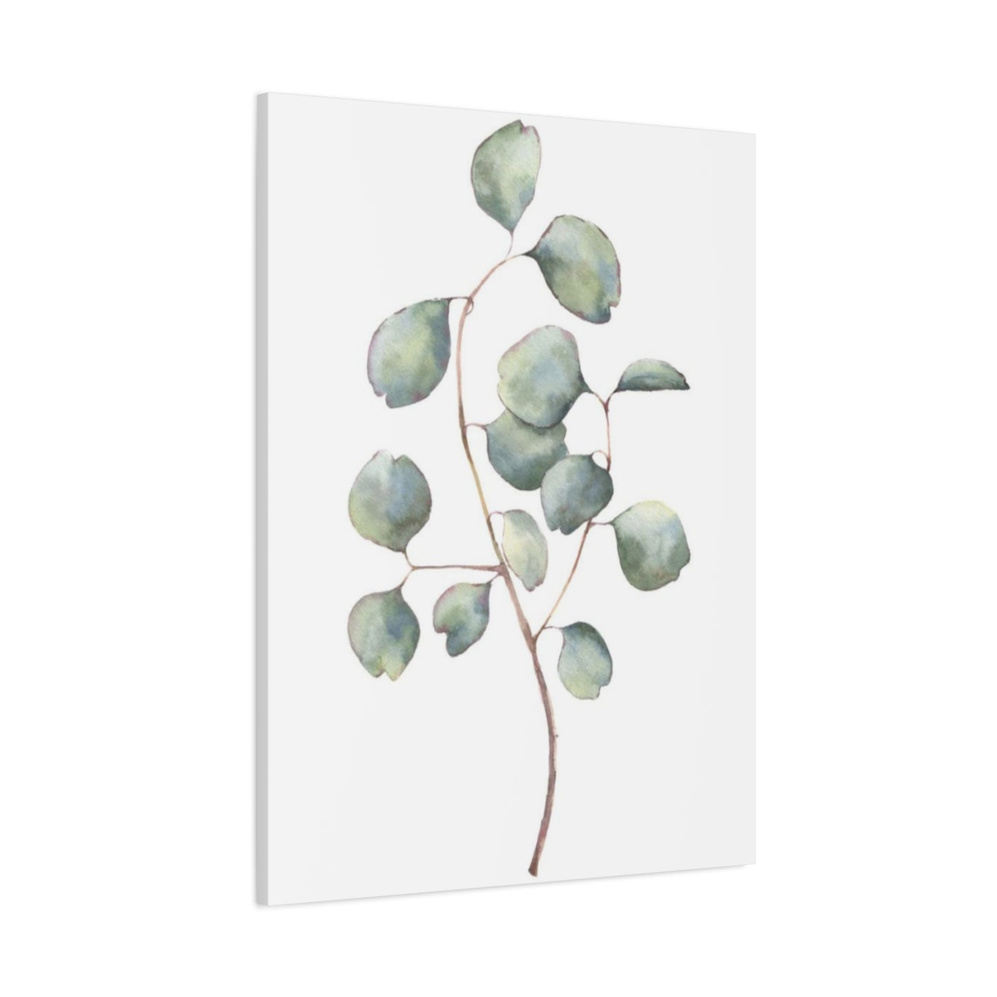 Eucalyptus Stem Wall Art & Canvas Prints