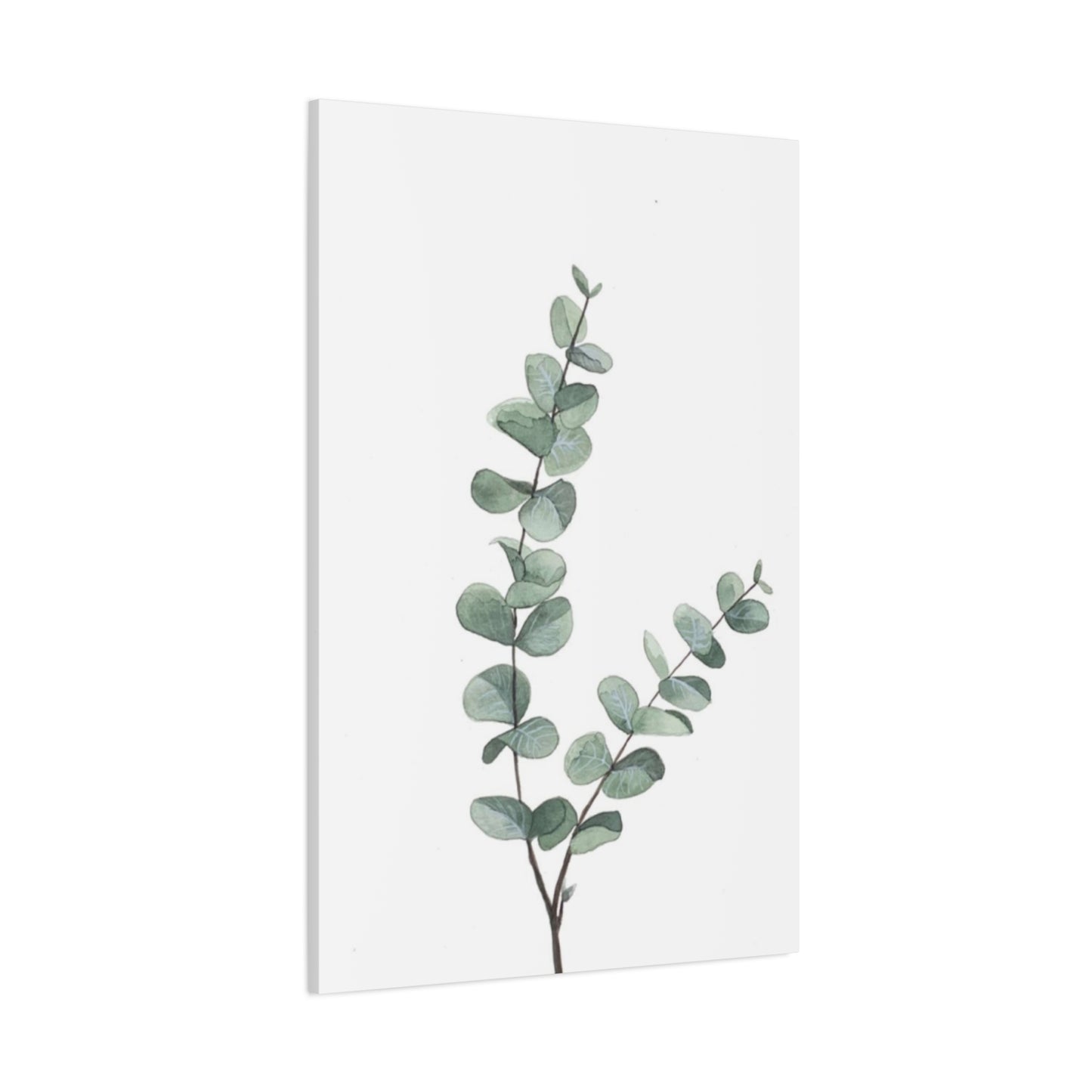 Two Eucalyptus Stem Wall Art & Canvas Prints