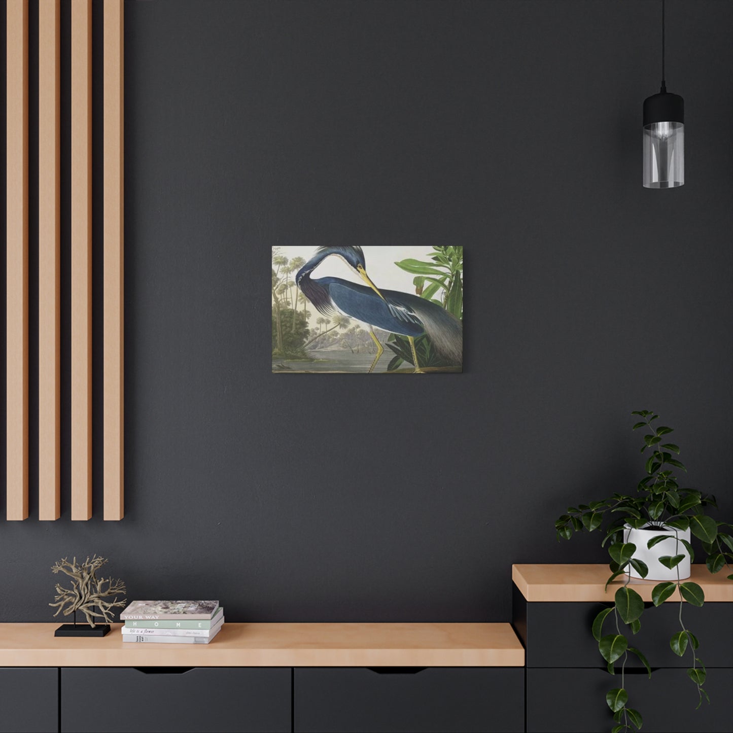 Long Feather Pelican Wall Art & Canvas Prints