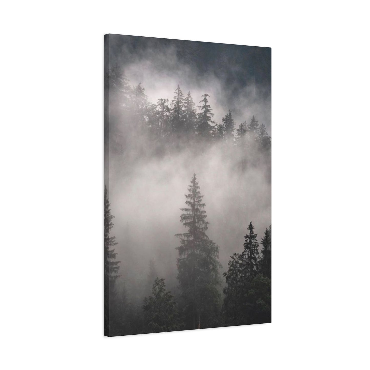 Tropical Forest Wall Art & Canvas Prints