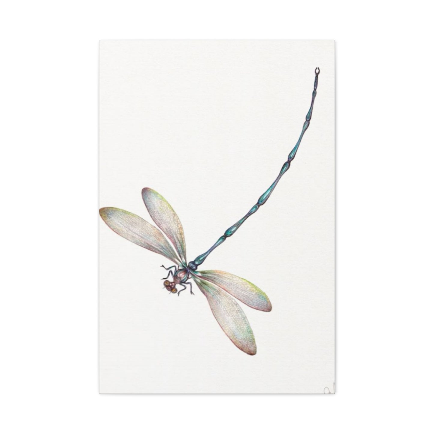 Long Blue Tail Dragonfly Wall Art & Canvas Prints