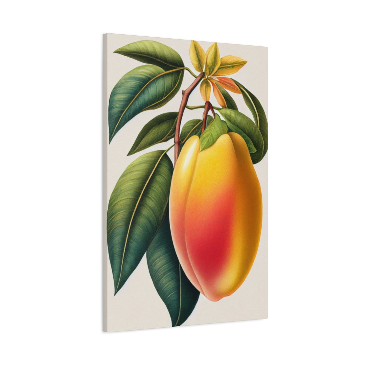 Mango Wall Art & Canvas Prints