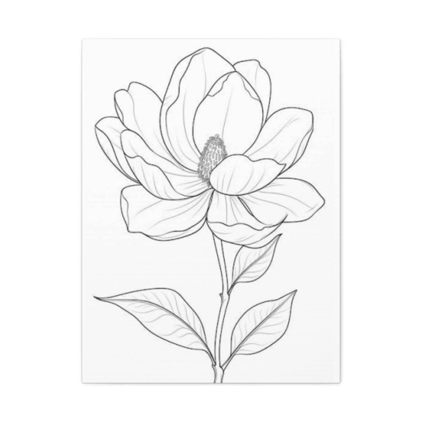 Beautiful Magnolia Flower Sketch Wall Art & Canvas Prints