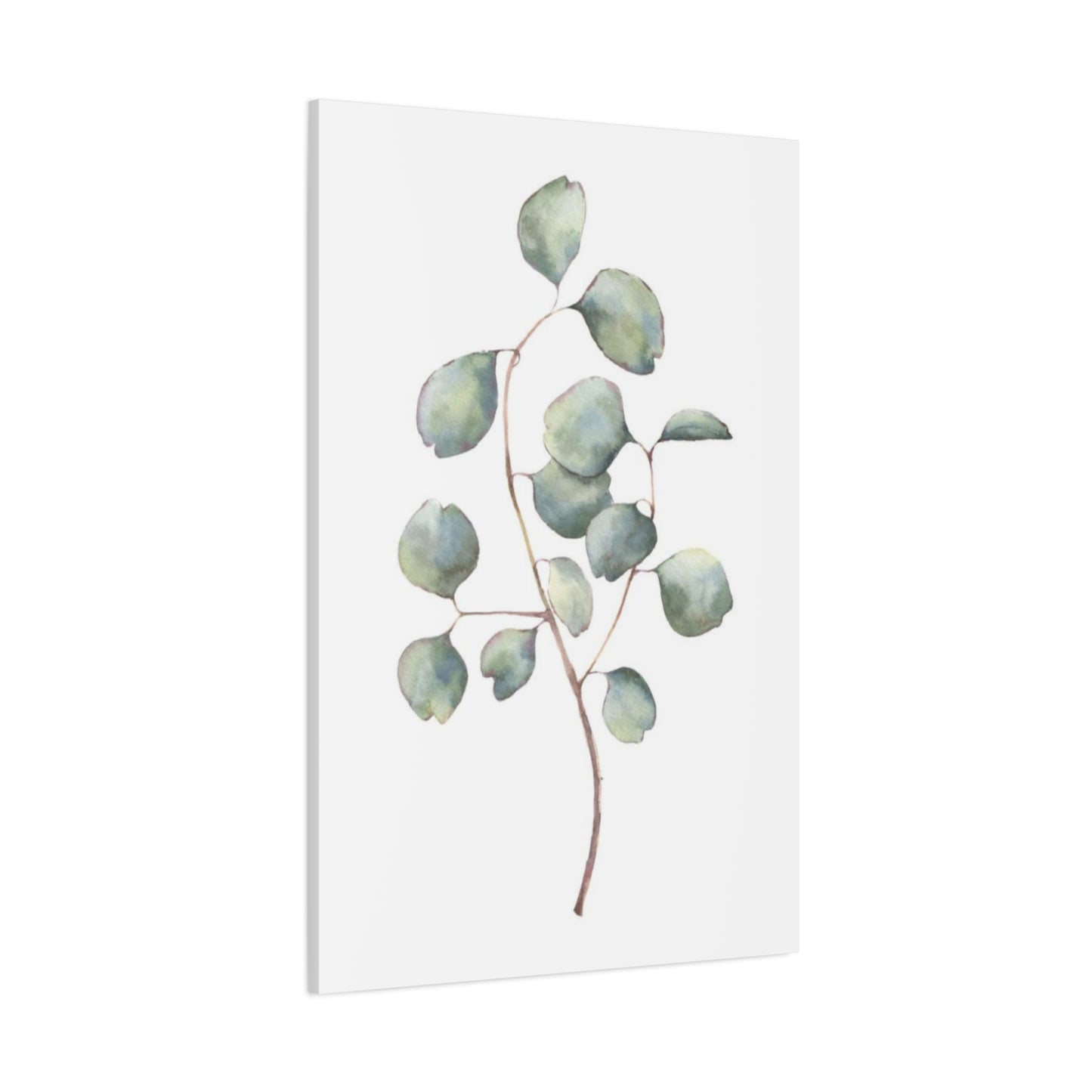 Eucalyptus Stem Wall Art & Canvas Prints