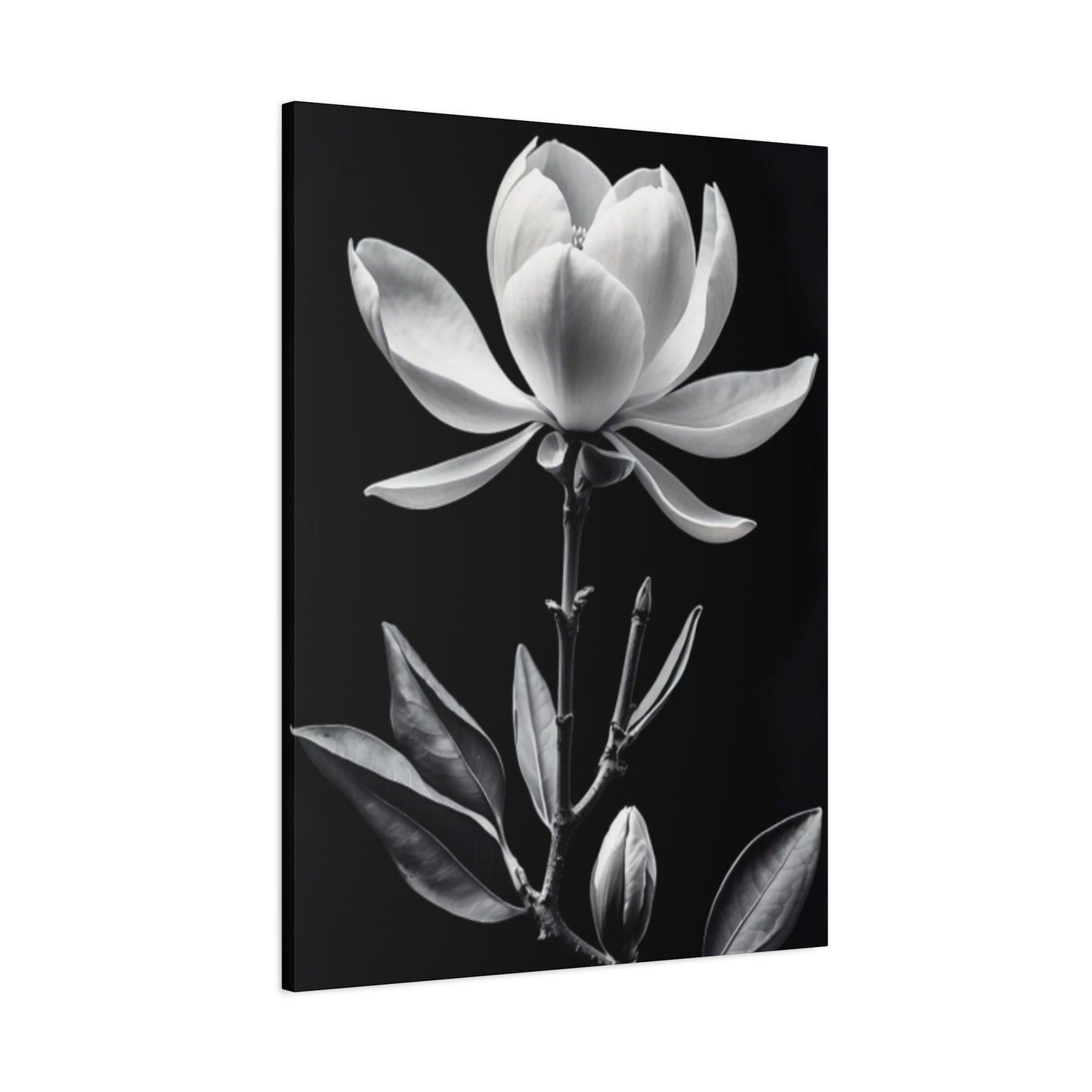 Monochrome Magnolia Flower Plant Wall Art & Canvas Prints