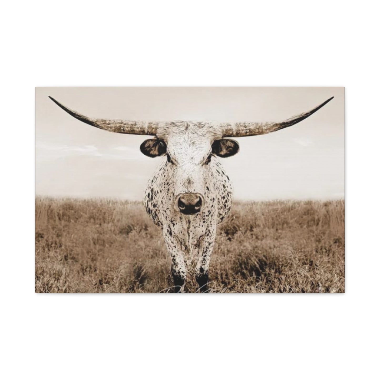 Straight Long Horn Wall Art & Canvas Prints