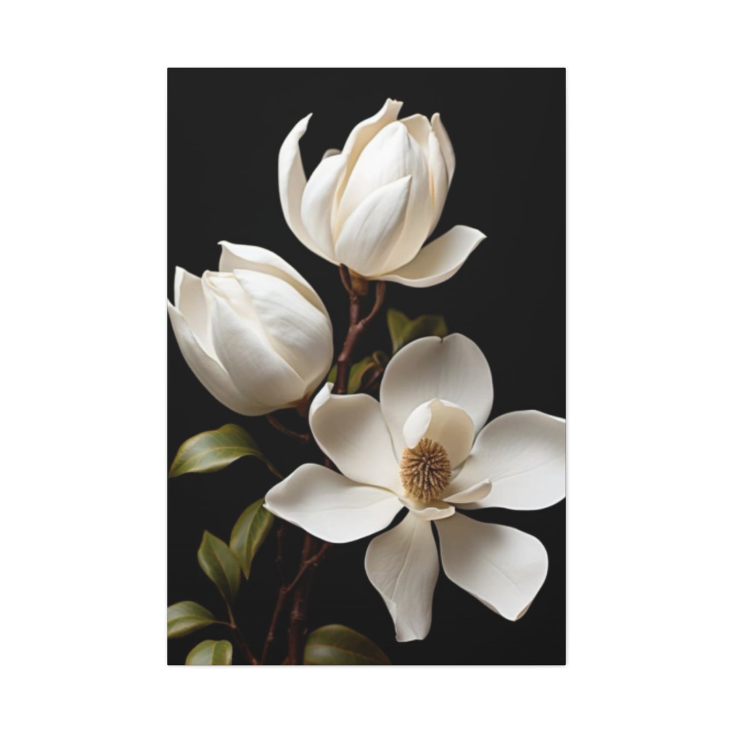 Magnolia Flower Family Painting Wall Art & Canvas Prints