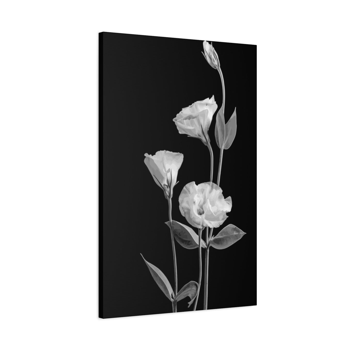 Black and White Flower Wall Art & Canvas Prints