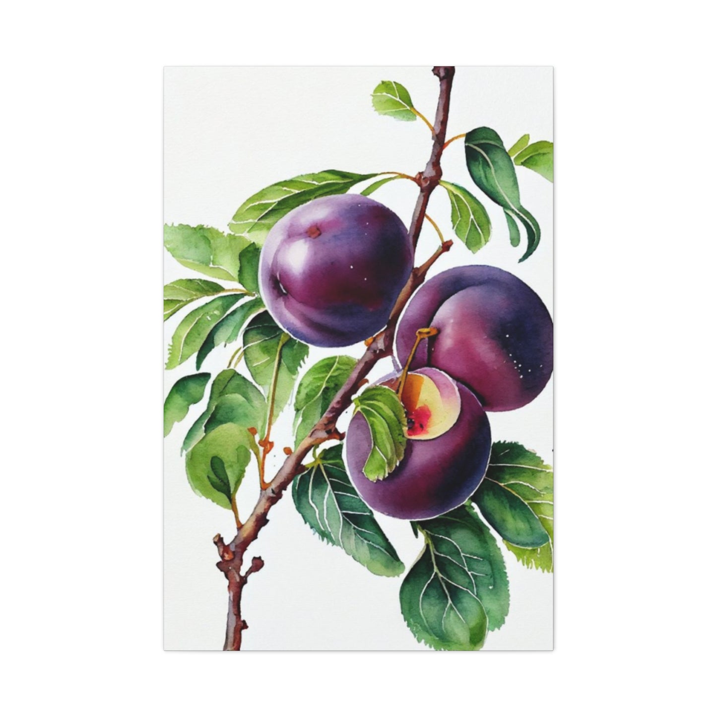 Black Plum Wall Art & Canvas Prints