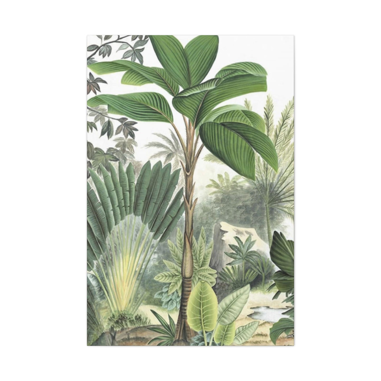 Palm Tree Green Leaves In Forest Wall Art & Canvas Prints