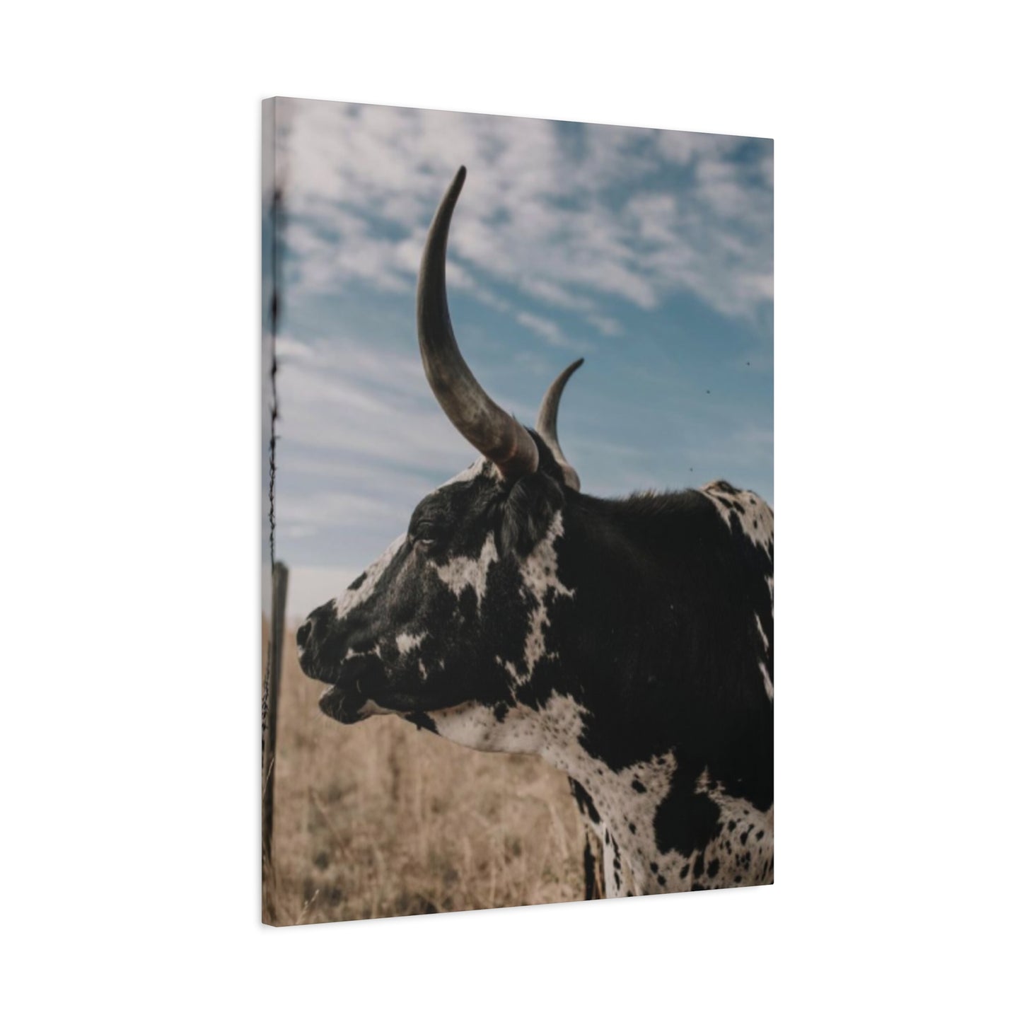 Wild Buffalo Curvy Longhorn Wall Art & Canvas Prints