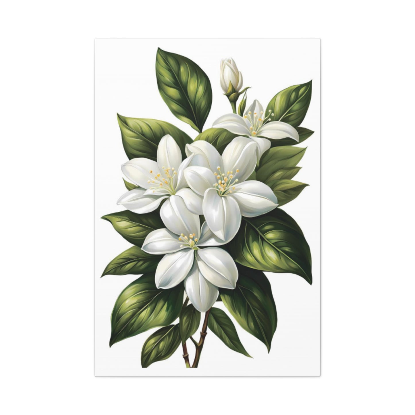 Beautiful White Magnolia Flower Painting Wall Art & Canvas Prints