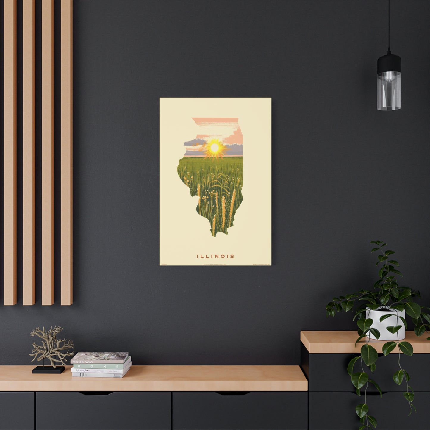 Illinois The National Park Wall Art & Canvas Prints