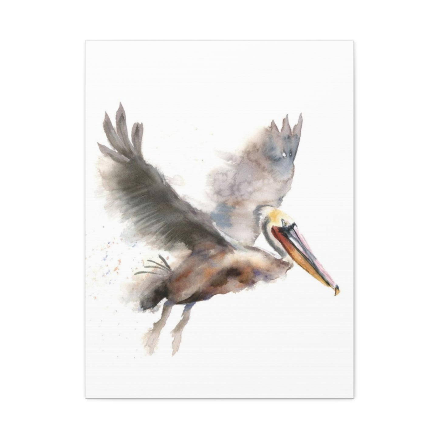 Flying Pelican Painting Wall Art & Canvas Prints