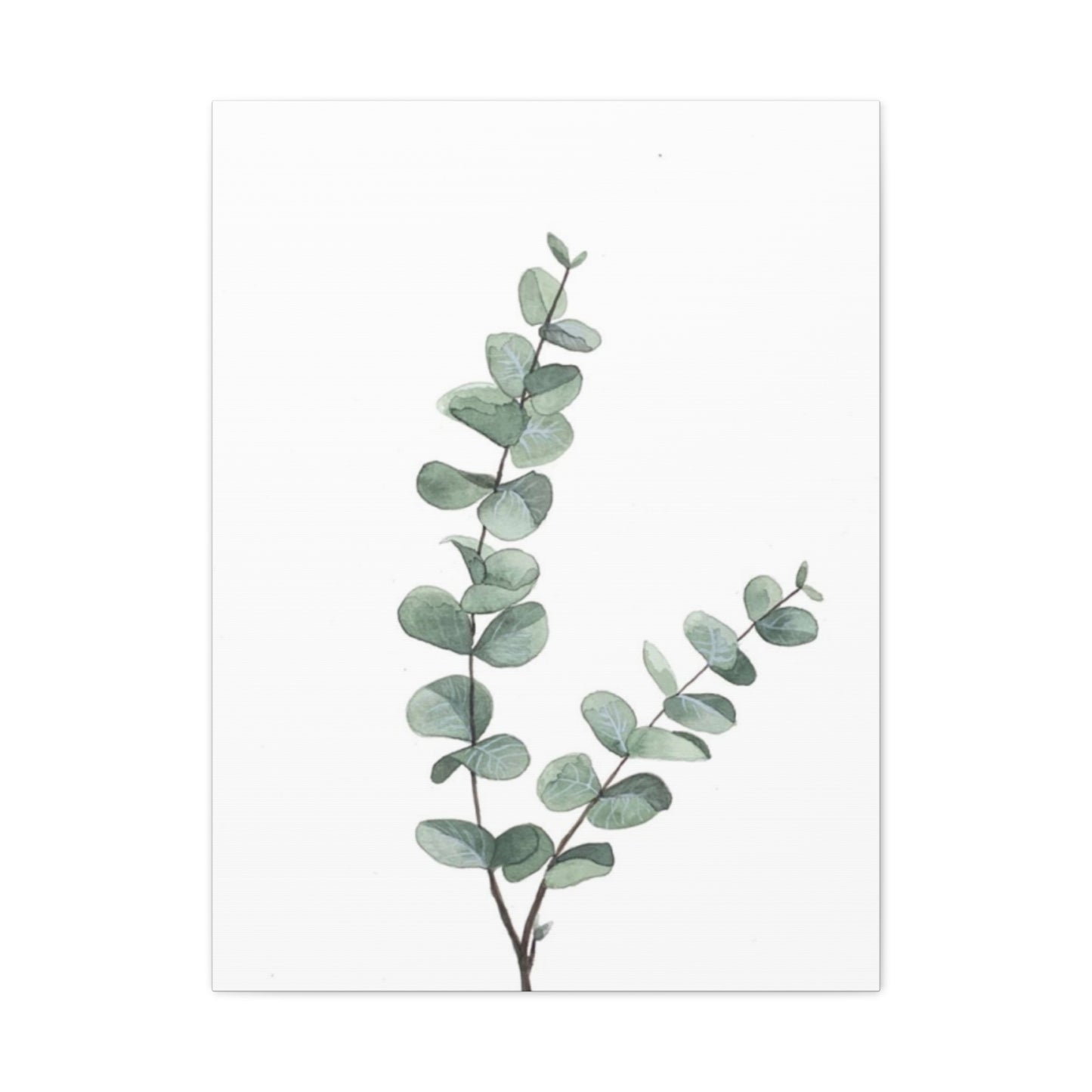 Two Eucalyptus Stem Wall Art & Canvas Prints