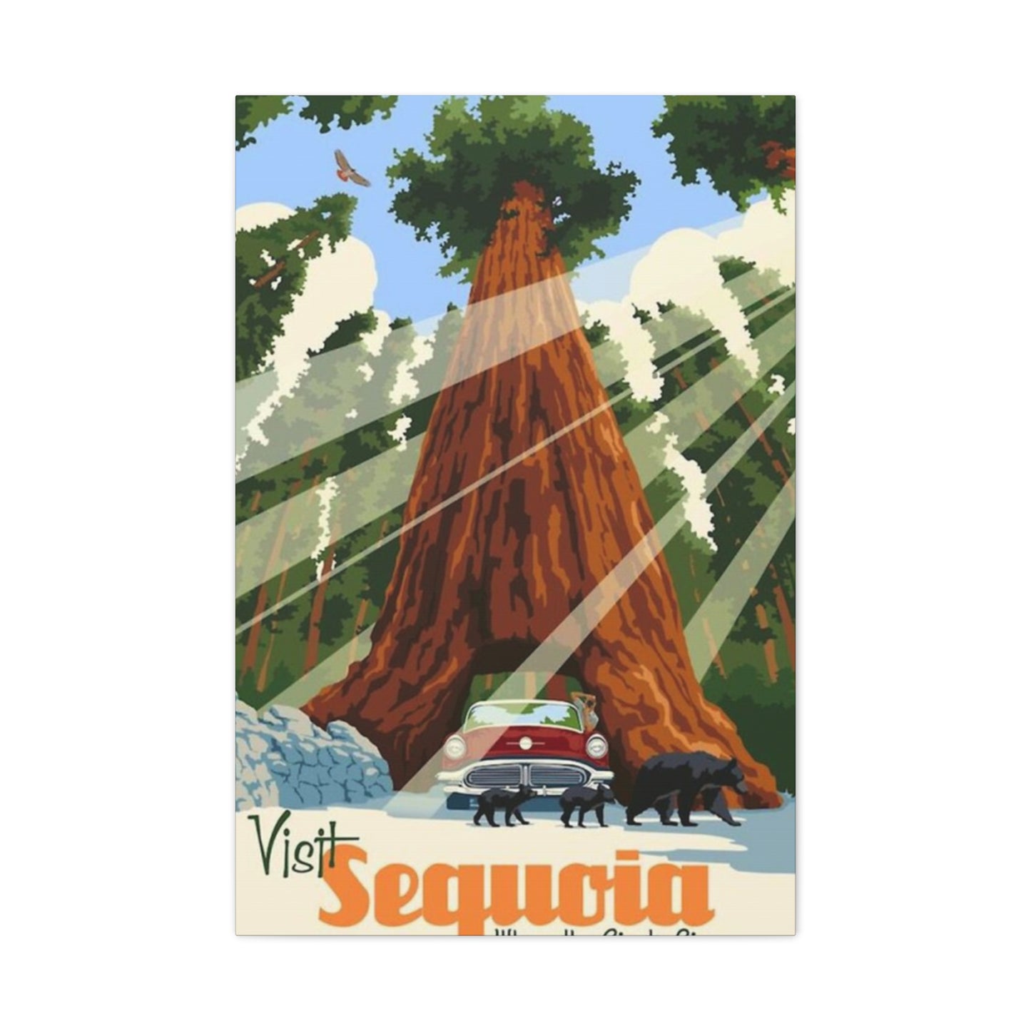 Sequoia Poster The National Park Wall Art & Canvas Prints